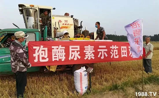 �ٿ���С�����a(ch��n)1471�����pø����ȫ�����������߮a(ch��n)������(d��ng)֮�o����