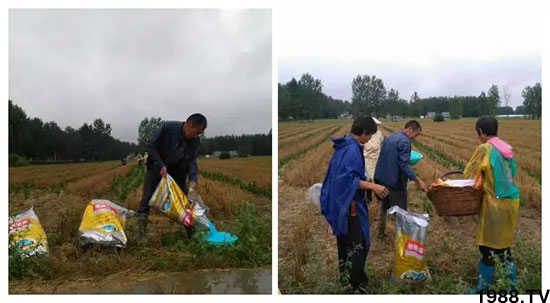 �ٿ���С�����a(ch��n)1471�����pø����ȫ�����������߮a(ch��n)������(d��ng)֮�o����