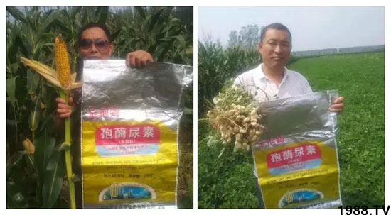 �ٿ���С�����a(ch��n)1471�����pø����ȫ�����������߮a(ch��n)������(d��ng)֮�o����