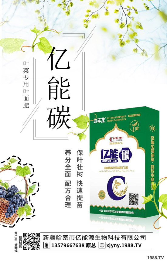 板栗樹怎么種植,板栗高產(chǎn)種植要點!