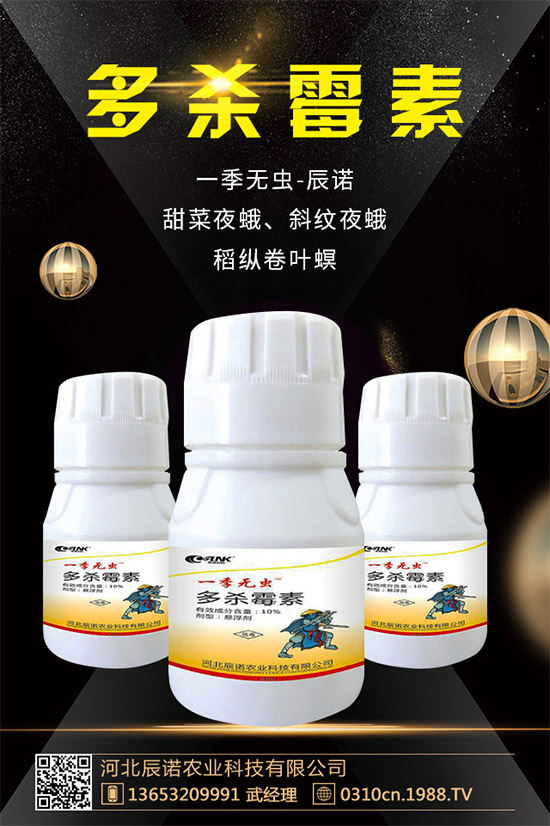 �S�Ϛ��x���r(ji��)��