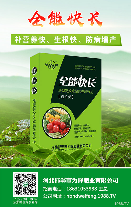 吃茼蒿有哪些好處?茼蒿的功效作用及食用禁忌