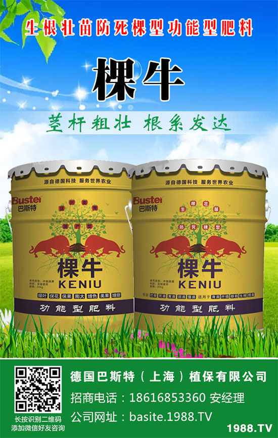 ���[���ʩ�ʣ����[�ƌW(xu��)������ʩ�ʷ�����