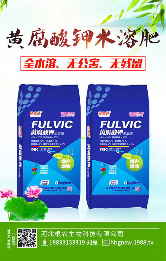 ����ԓ��ô��������ĠI�B(y��ng)�Է���ע�����(xi��ng)