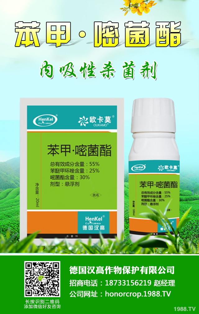 �۲������Բ������ӷ������۲������Բ������μ���