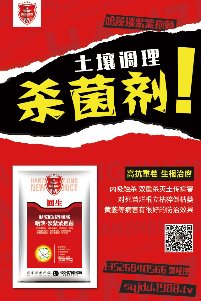 ���[��������������[�������μ���