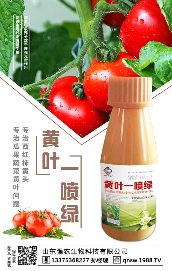 ���}�����N�r�g�����}���Nֲ��Ҫע����Щ�����