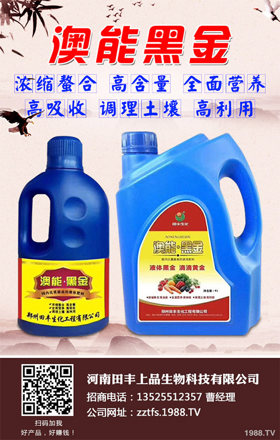 ���Ĳ�����Щ�I�B(y��ng)�rֵ���Ծ��Ĳ�����Щ��̎������Գ�������