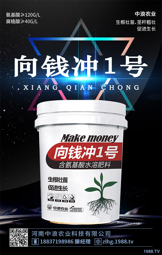 ¶�ؾ��Ĳ�ʲô�r(sh��)��Nֲ��¶�ؾ��Ĳ˷Nֲ���g(sh��)��ȫ