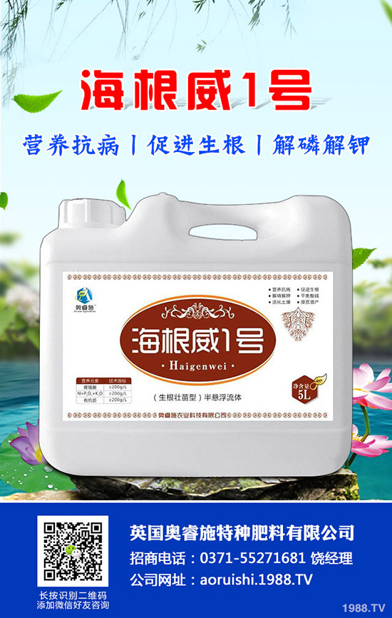 �����^����Щ��̎�����^�ĠI�B(y��ng)�rֵ��ʳ�ý��ɣ�