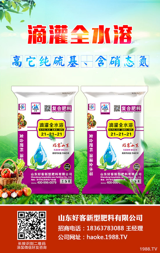 ������ӹ�������ϸ�Ч����������