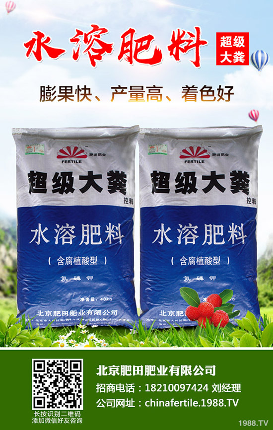 ��ݮ���˼t������������ô�k����ݮ�t�����������R�e�����ͷ��Σ�