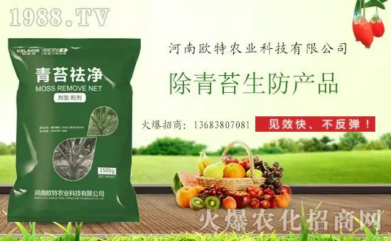 �������̦���������������Ƀ�����̦�o(w��)ۙ��