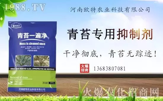 �������̦���������������Ƀ�����̦�o(w��)ۙ��