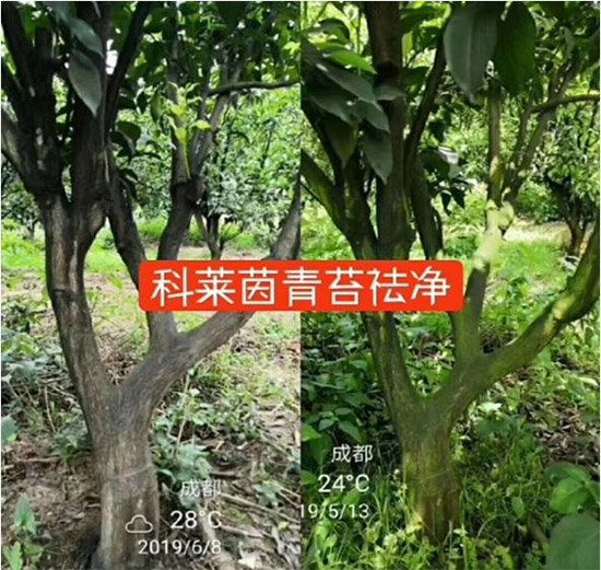 �������̦���������������Ƀ�����̦�o(w��)ۙ��