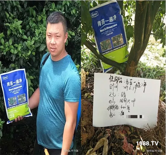 �������̦���������������Ƀ�����̦�o(w��)ۙ��