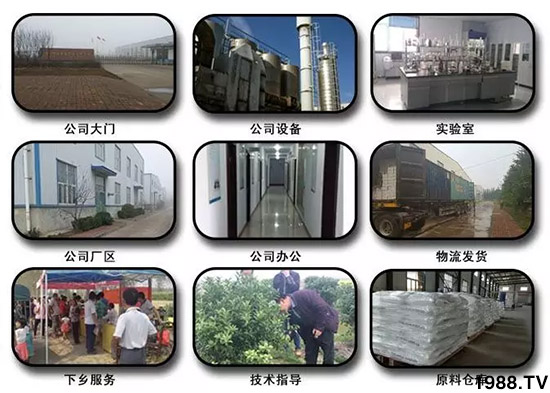 �������̦���������������Ƀ�����̦�o(w��)ۙ��