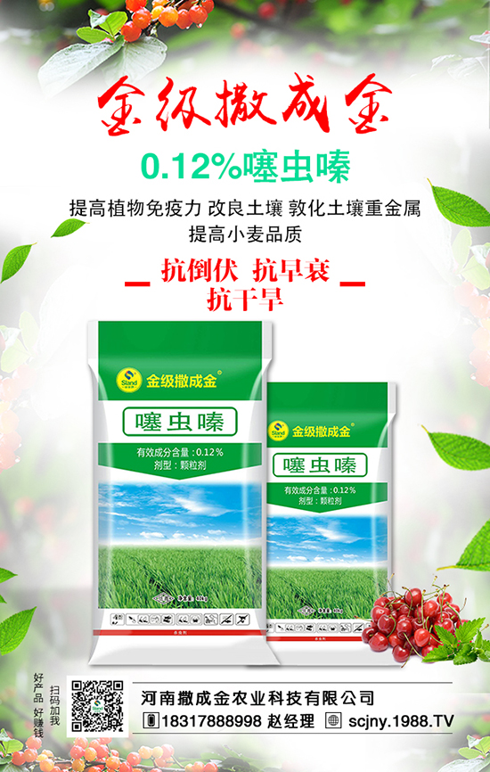 ��ʩ���з���������ʩ�����v��