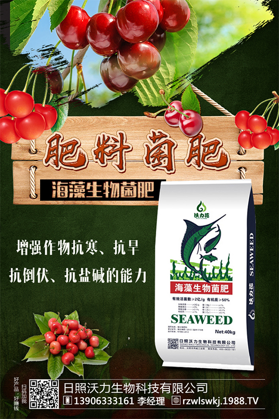 ������ôʩ�ʣ�ʩʲô����������ʩ��Ҫ�c(di��n)��