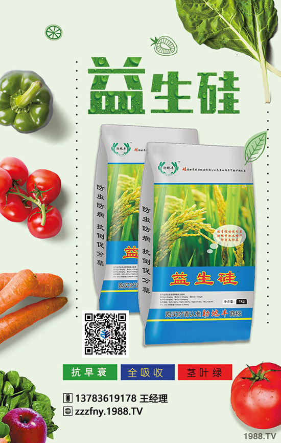 �J����ʩ���������}�Ľ�Q������ֵ���ղ���