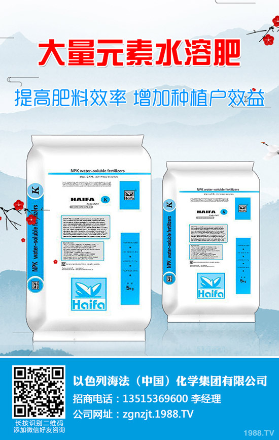     2020����(ji��)���g��⛷�����������1��31�ս���⛷ʃr�����