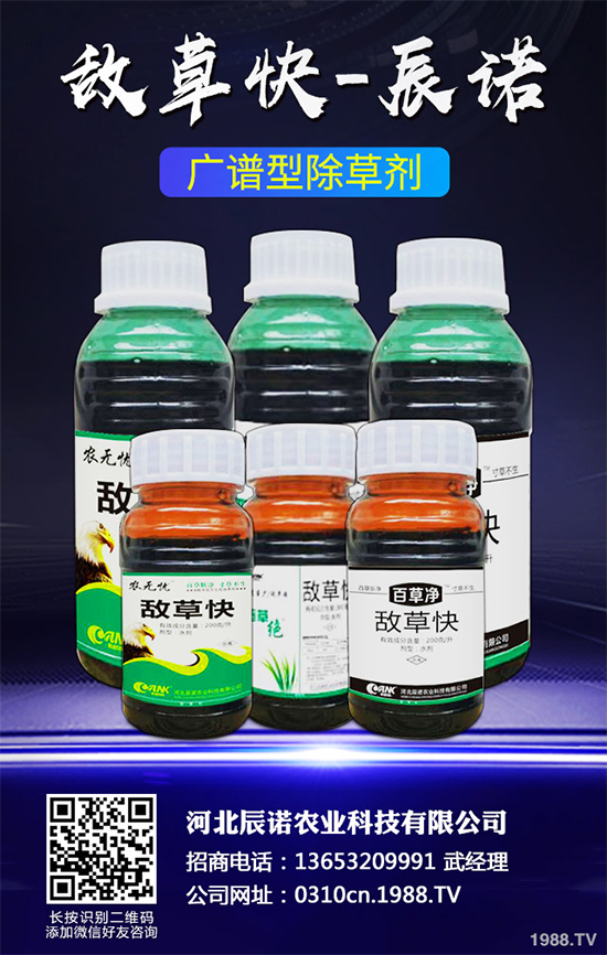     ����(l��)�`���݄��r(ji��)��