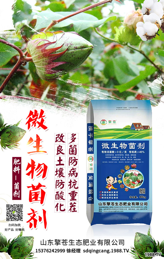 春節(jié)來臨!2020年1月尿素能否挺價(jià)?尿素行情走勢預(yù)測!