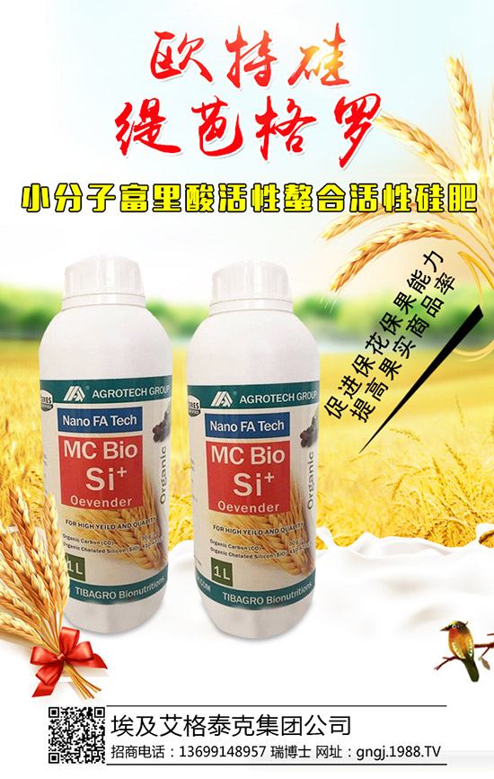 ���������Y��������ô�������������������������