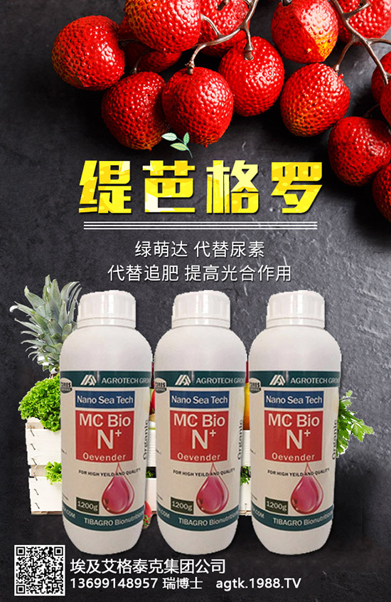 ���A�ĠI�B(y��ng)�rֵ����Щ����Ч�c��������Щ��������Щ��Ⱥʳ����