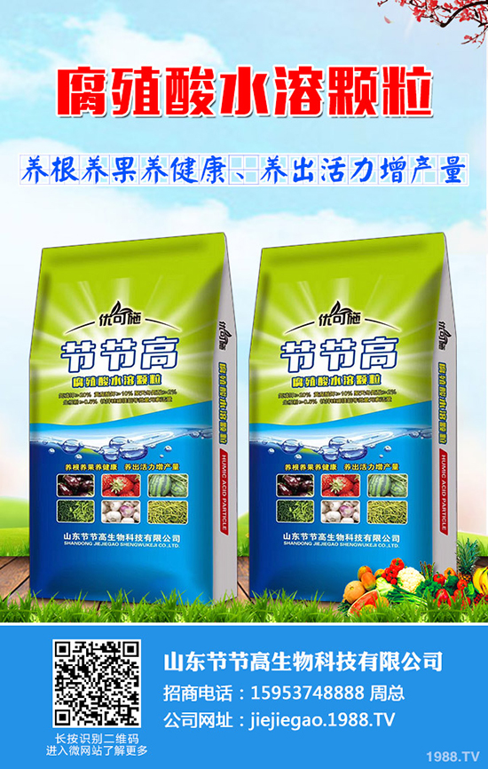     2020��1��2�ս����������س��S������rһ�[��