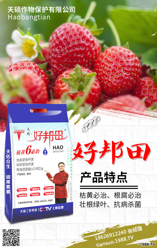 2020年農(nóng)村種植什么水果賺錢(qián)？哪些種果樹(shù)品種比較好？