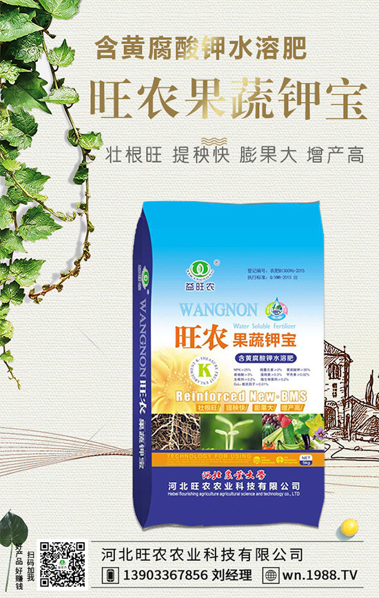 ���������L(zh��ng)��(x��)������Щ���������B(y��ng)�o(h��)Ҫ�c(di��n)��