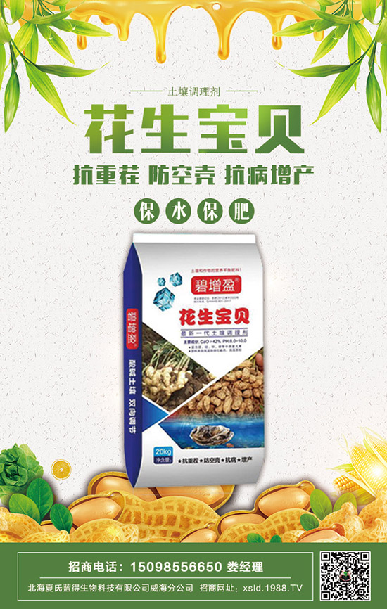     2020���������@�r�����ݱP�������@�r�������