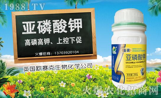 ľ��ʲô�r(sh��)��Nֲ��ľ�ϷNֲ�r(sh��)�g���Nֲ���g(sh��)Ҫ�c(di��n)��