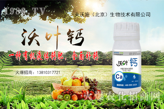 ����߀���ٝq����2020��10��20�ջ����r������