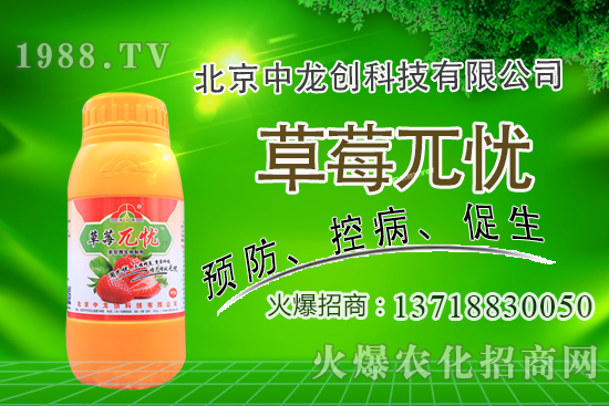 �������m�ϷNֲʲô��ˎ�������@�����׷N��Щ��ˎ�ģ�