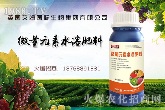 鐵、鋅、硼缺失癥狀，怎么補充作物所需元素？