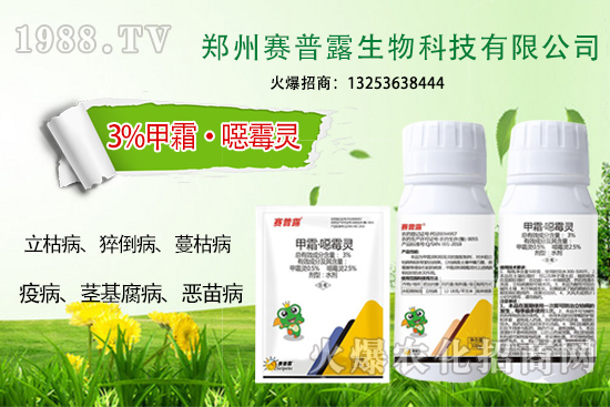 為什么霜霉病、猝倒病易發(fā)？難防治？