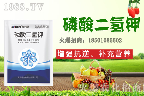 �����Ѿ���+�|̦�أ�������������ʲô������