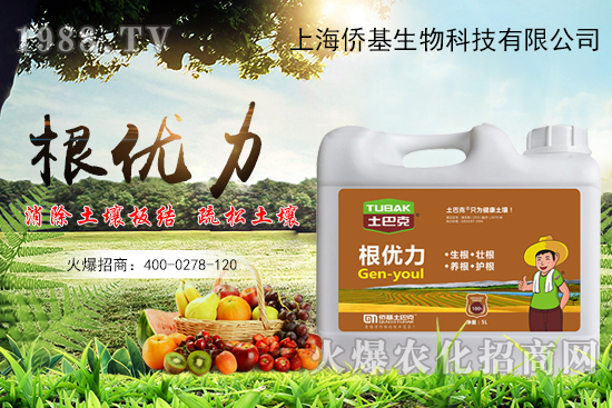 ����������ʲô�����������x������Щ��