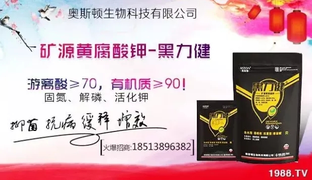 大蒜什么時間播種？注意事項(xiàng)有哪些？各地大蒜種植時間表！