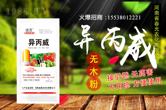 蒜苗種植前景及怎么樣？蒜苗種植要點(diǎn)及田間管理！