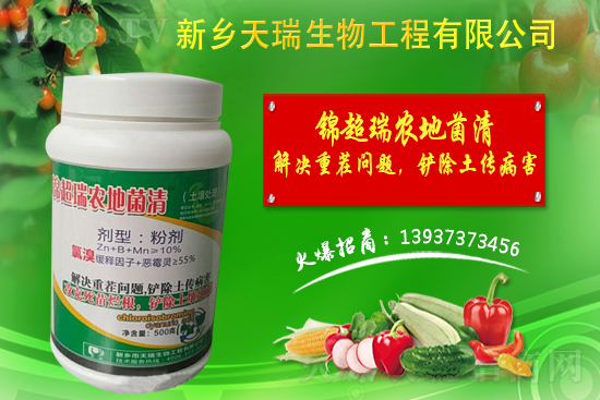 洋蔥如何施肥？洋蔥施肥方法及播種時間！