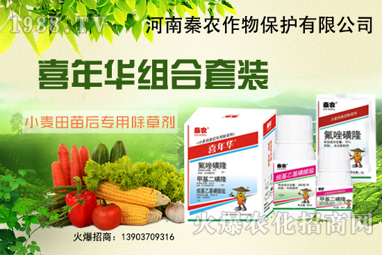 С����ʲôҪ��ǰ�������xʲô���݄�Ч���ã�