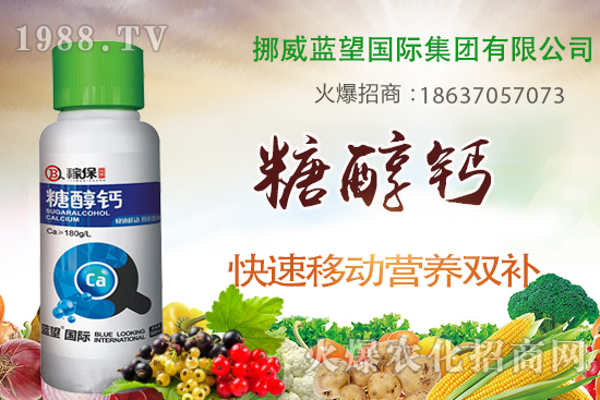 草莓缺鈣有哪些原因呢?草莓缺鈣癥狀及補(bǔ)救措施