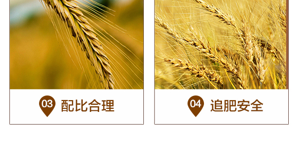 �׾S�����x(ch��ng)��-���A����_06