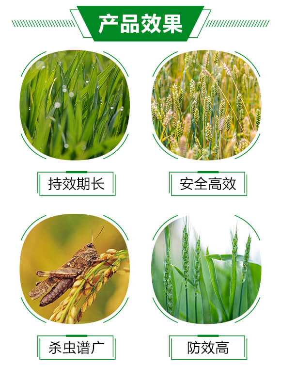 10%�x(ch��ng)����-��֮��_03