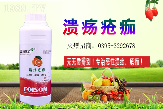 2021��ʯ��Nֲ������Σ�ʯ�������(r��n)ǰ����ô����