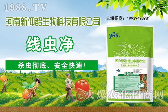 11��6�Շ���(n��i)С���r���ව(w��n)���ֲ�С�����ӣ�