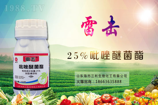 魔芋價(jià)格多少錢(qián)一斤？2021年魔芋種植前景如何？